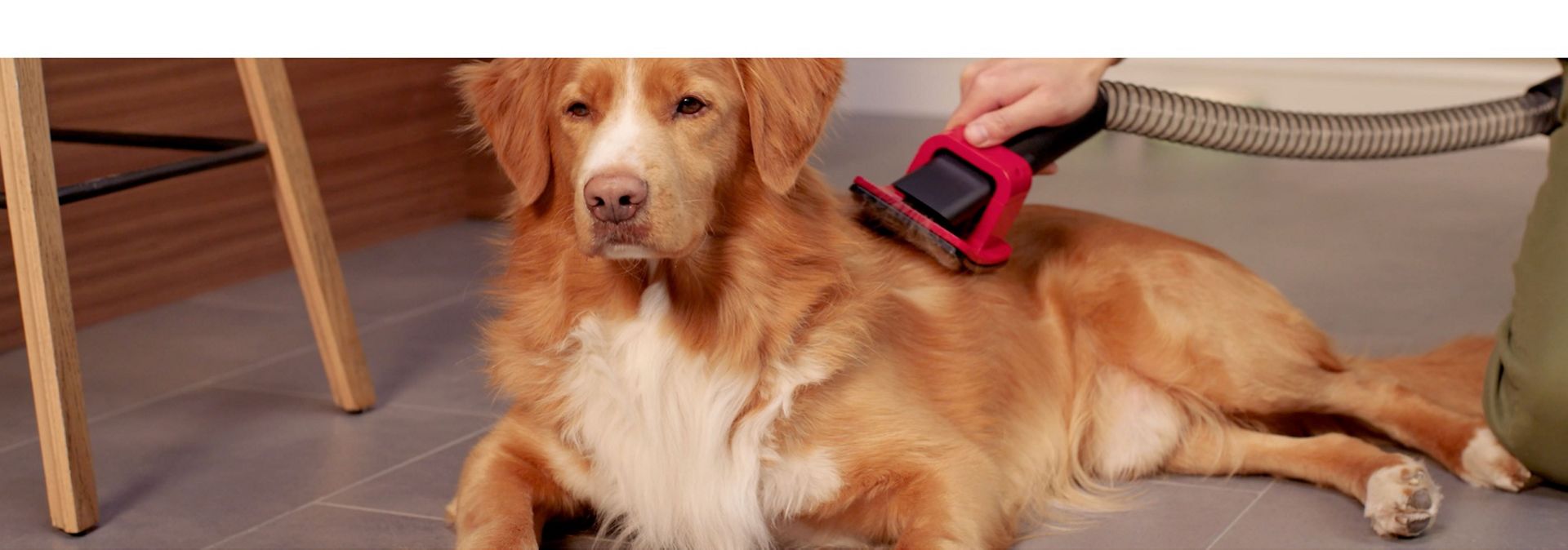 The Pet groom tool and Flexi hose tool are used by a dog owner to groom their dog.