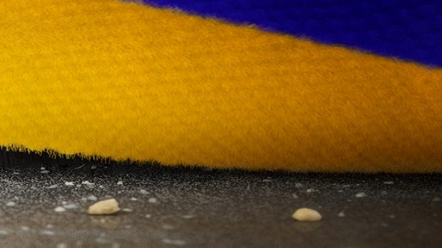 Close-up of the Dyson Fluffy Optic cleaner head’s brush bar as it cleans into a crevice on a hard floor.