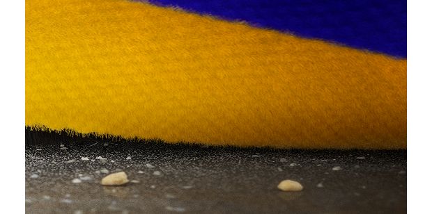 Close-up of the Dyson Fluffy Optic cleaner head’s brush bar as it cleans into a crevice on a hard floor.