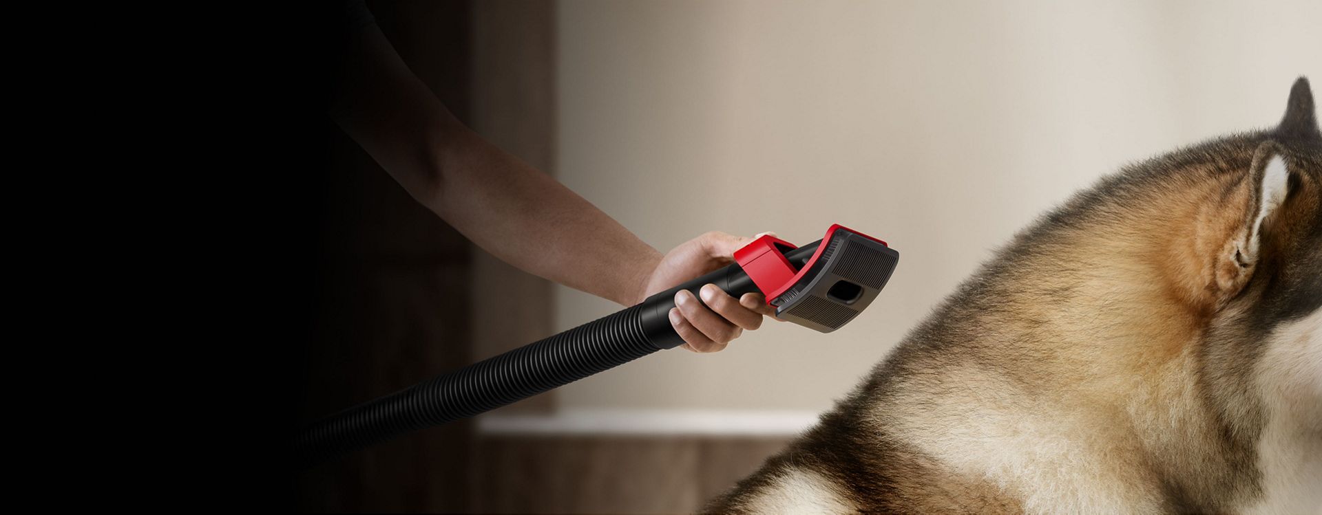 The Pet groom tool used to clear shed fur from a dog's coat.