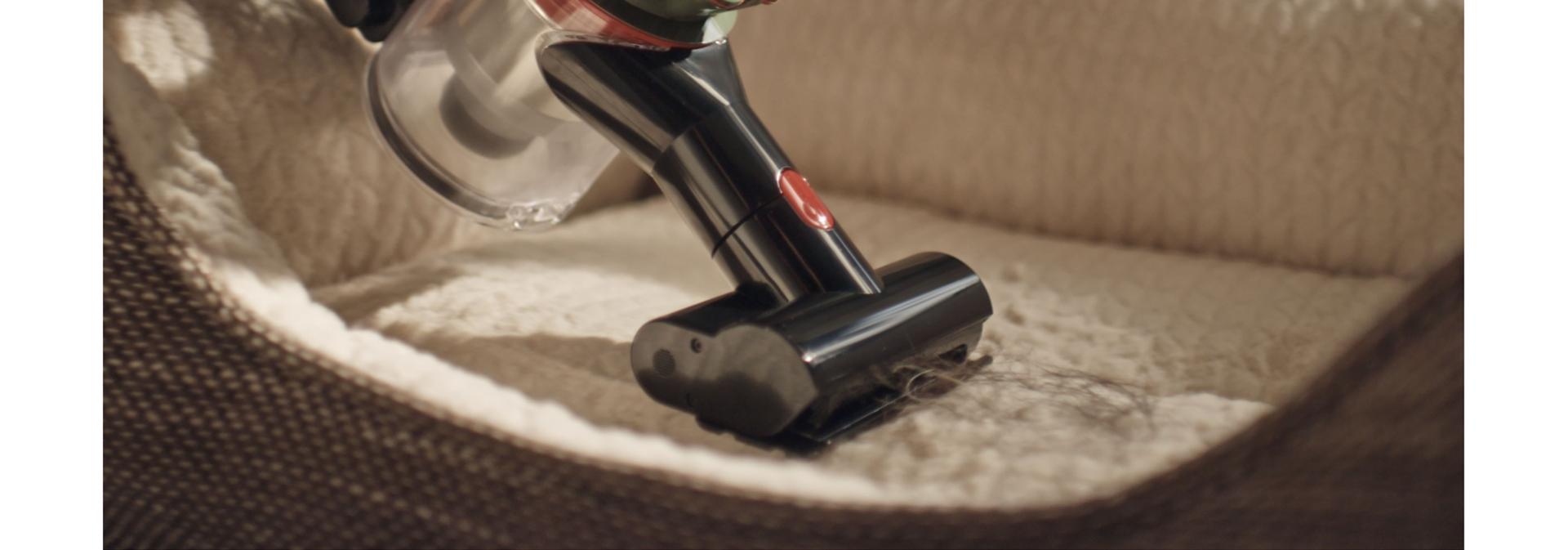 The Dyson V8 Cyclone vacuum is used with the Mini motorhead tool to clean a pet bed.