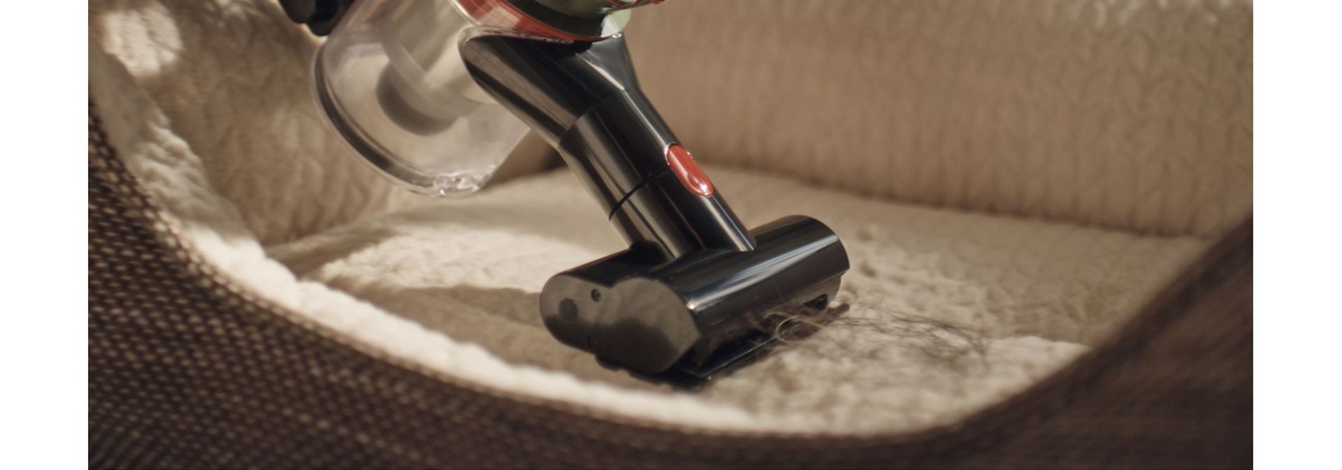 The Dyson V8 Cyclone vacuum is used with the Mini motorhead tool to clean a pet bed.
