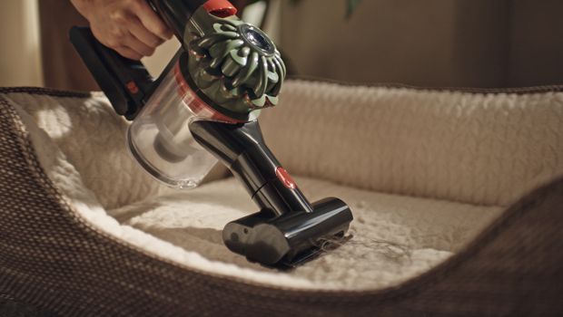 „Dyson V8 Cyclone“ dulkių siurblys naudojamas su mažu motorizuotu antgaliu naminių gyvūnėlių guoliui valyti.