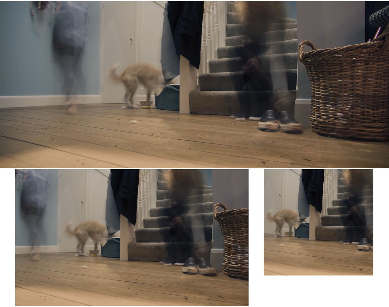 家中を掃除するのに適したDyson V8 Fluffy。