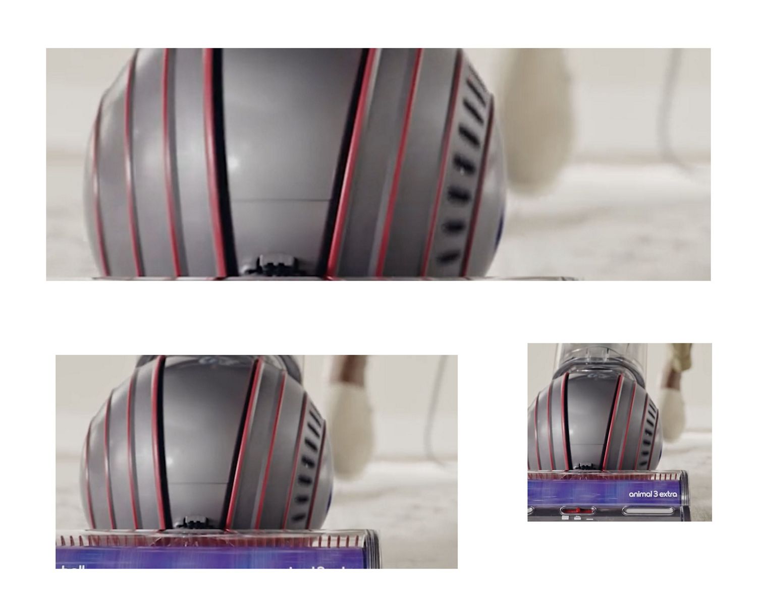 Dyson Ball Animal vacuum cleaner head cleaning a hard floor.