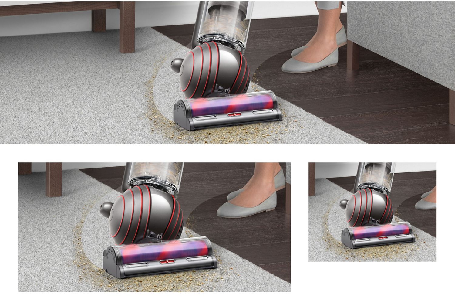 The Ball of the Dyson Ball Animal Origin vacuum cleaner.