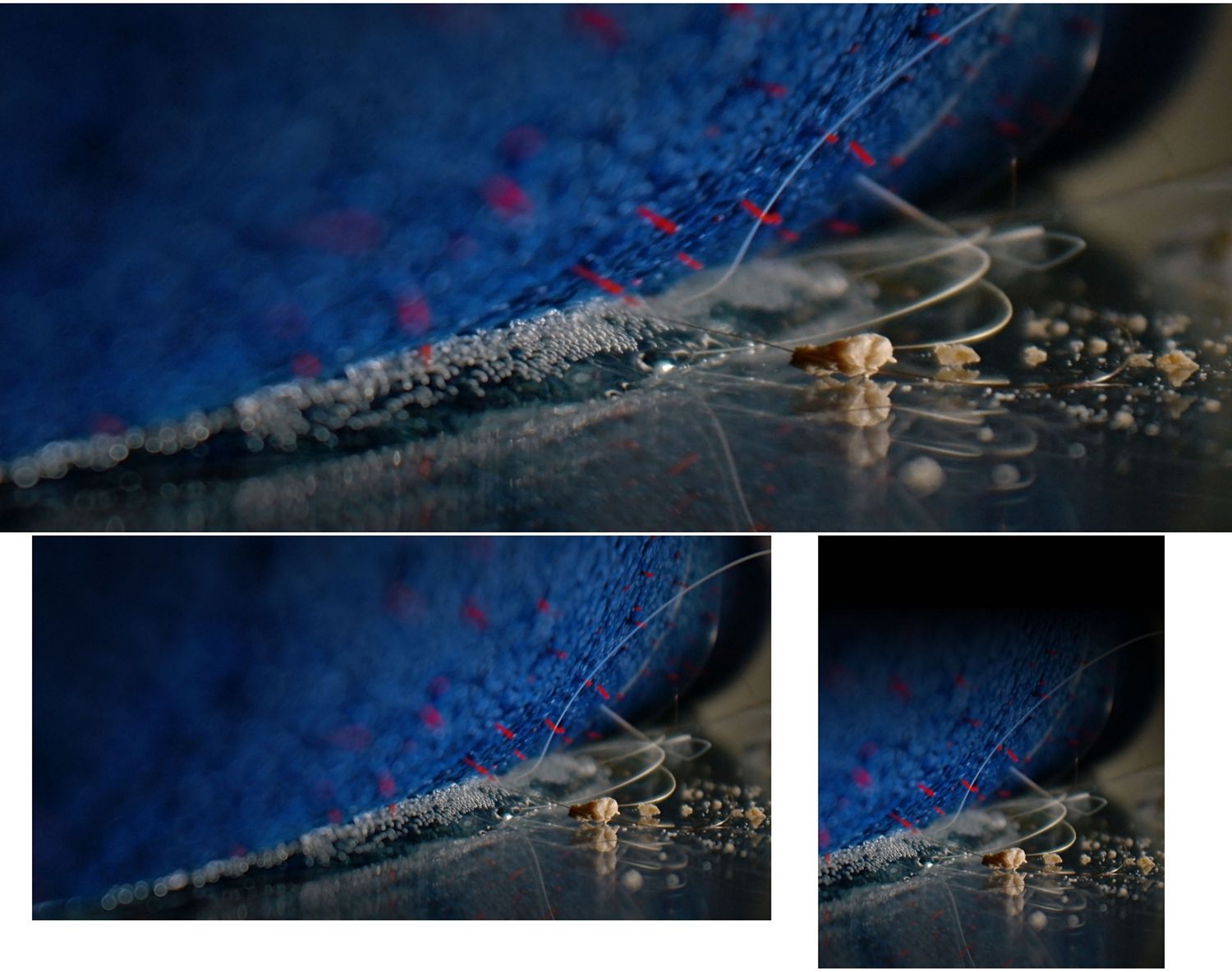 A close-up of the Dyson Clean+Wash Hygiene hard floor cleaner removing hair from the floor.