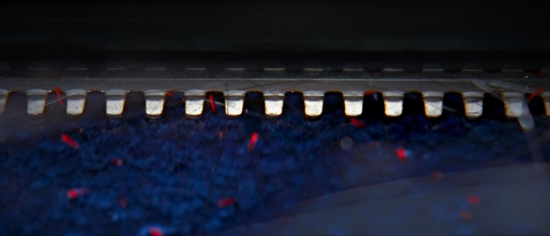 A close up of the Dyson Clean+Wash Hygiene hard floor cleaner's Anti-tangle comb.