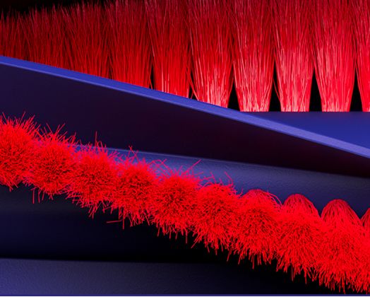 Close-up of the brush bar of the Dyson R1 Nurovi and R2 Nurovi robot vacuum cleaners. Close-up of the brush bar of the Dyson R1 Nurovi and R2 Nurovi robot vacuum cleaners.