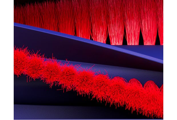 Close-up of the brush bar of the Dyson R1 Nurovi and R2 Nurovi robot vacuum cleaners.