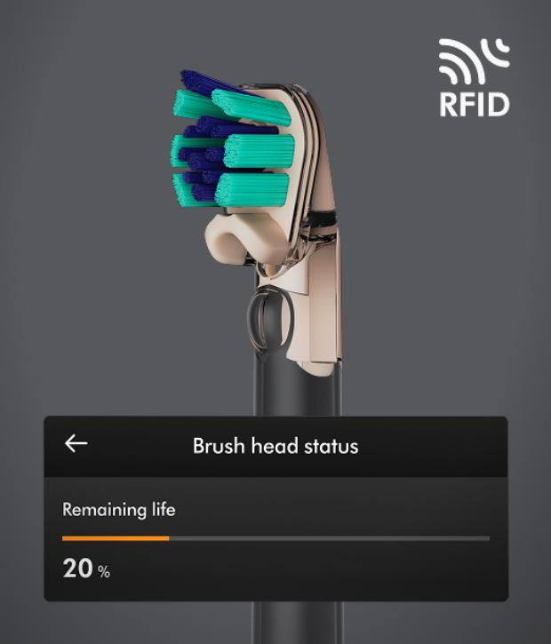 MyDyson™ 앱의 브러시 헤드 상태 화면