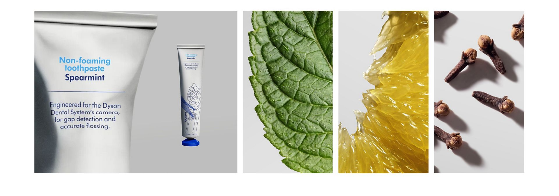Dyson 綠薄荷牙膏旁擺放著一系列成分原料。