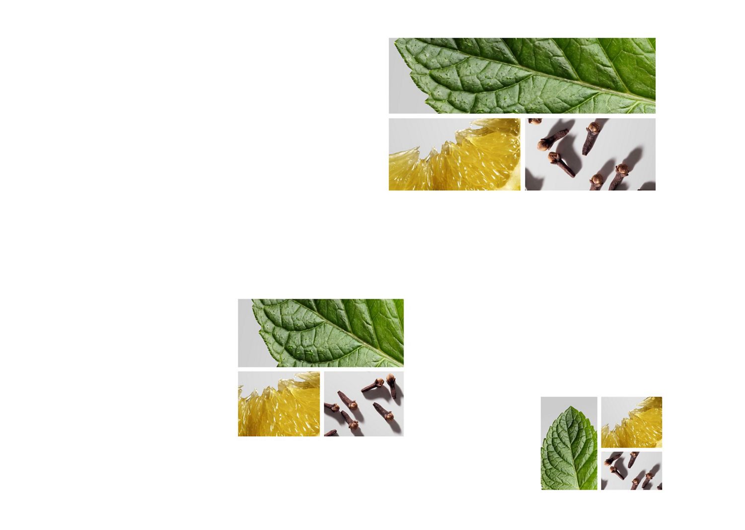 A mint leaf, lemon slice and cloves.