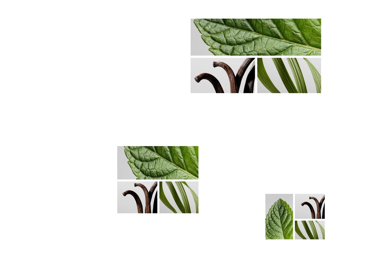 A mint leaf, vanilla pods and some lemongrass.