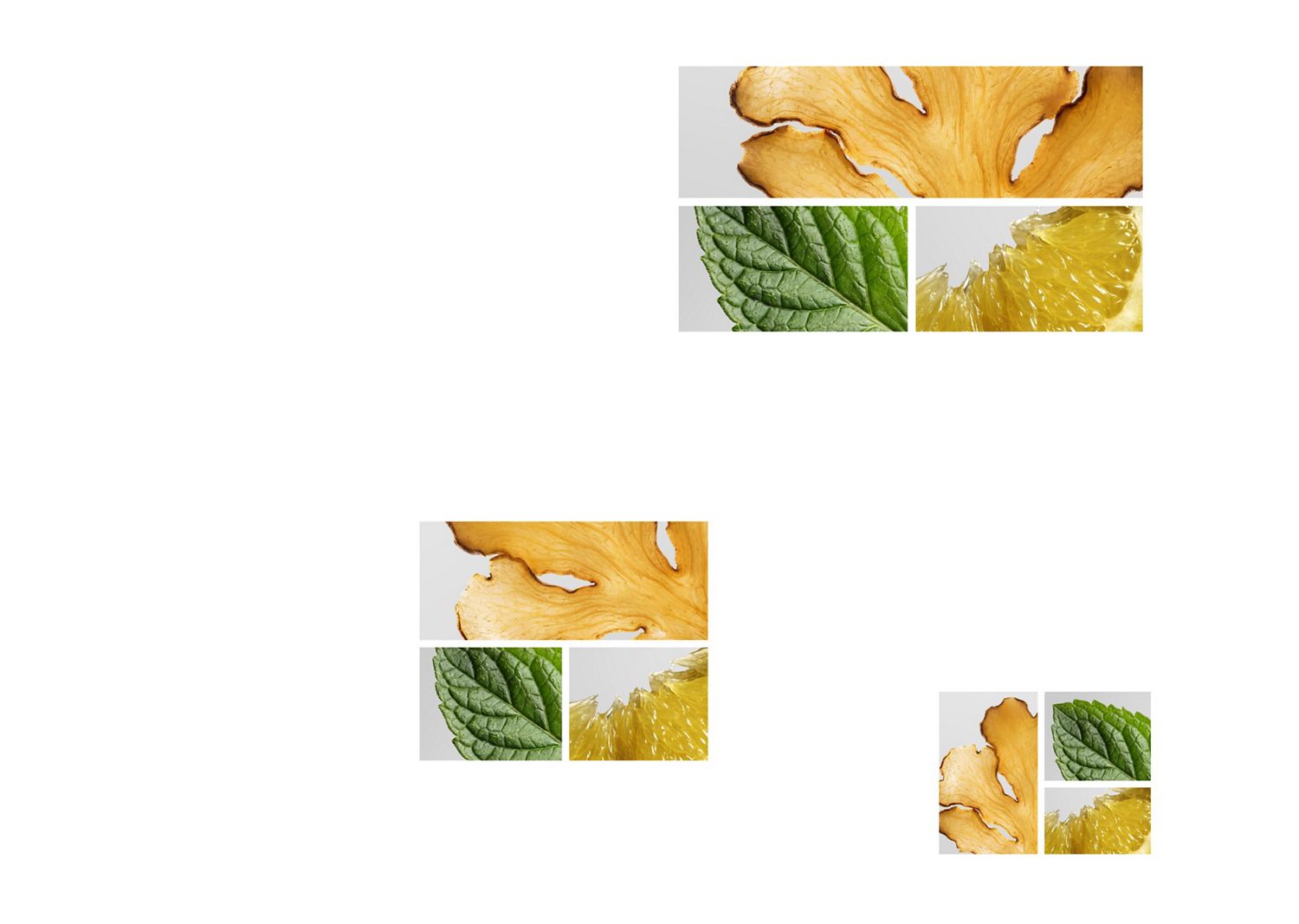Ginger root, a mint leaf and lemon slice.