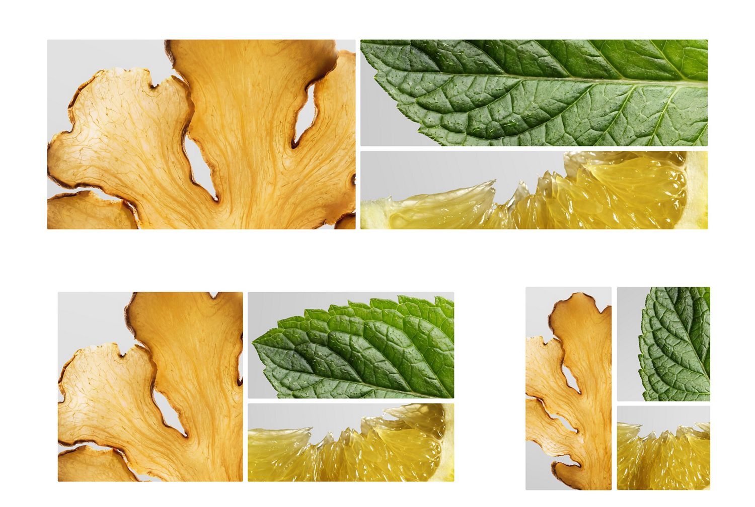 Ginger root, a mint leaf and lemon slice.