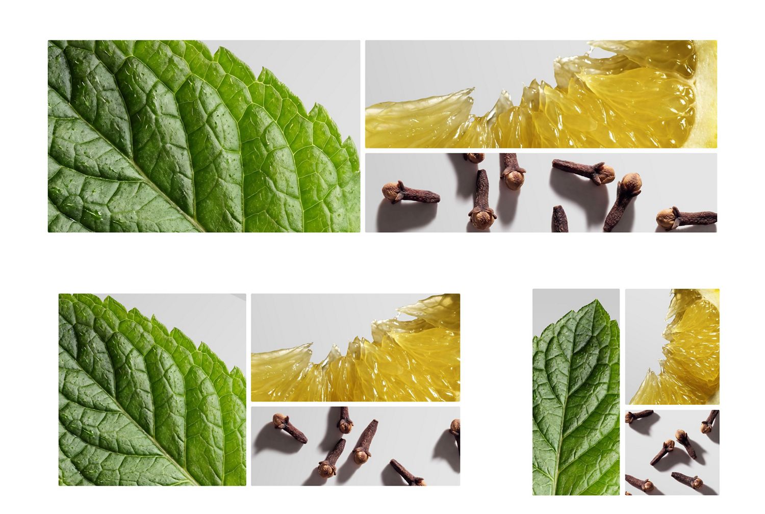 A mint leaf, lemon slice and cloves.