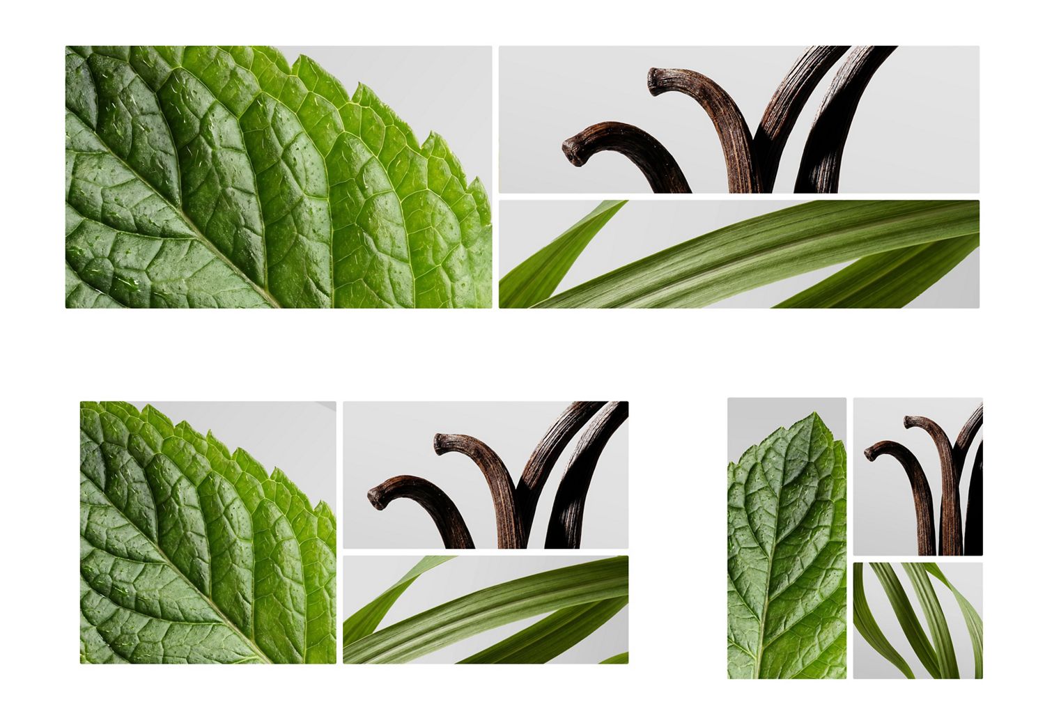 A mint leaf, vanilla pods and some lemongrass.