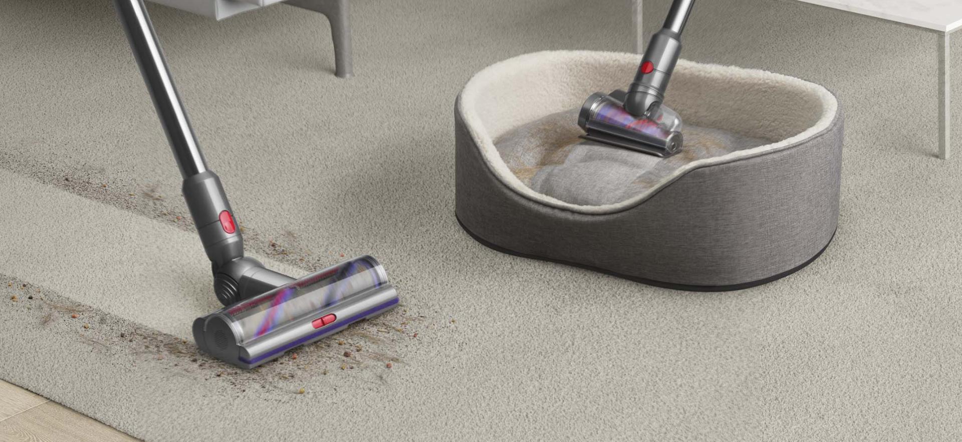 Dyson Outsize vacuum with Hair screw tool attachment cleaning hair from a dog bed.