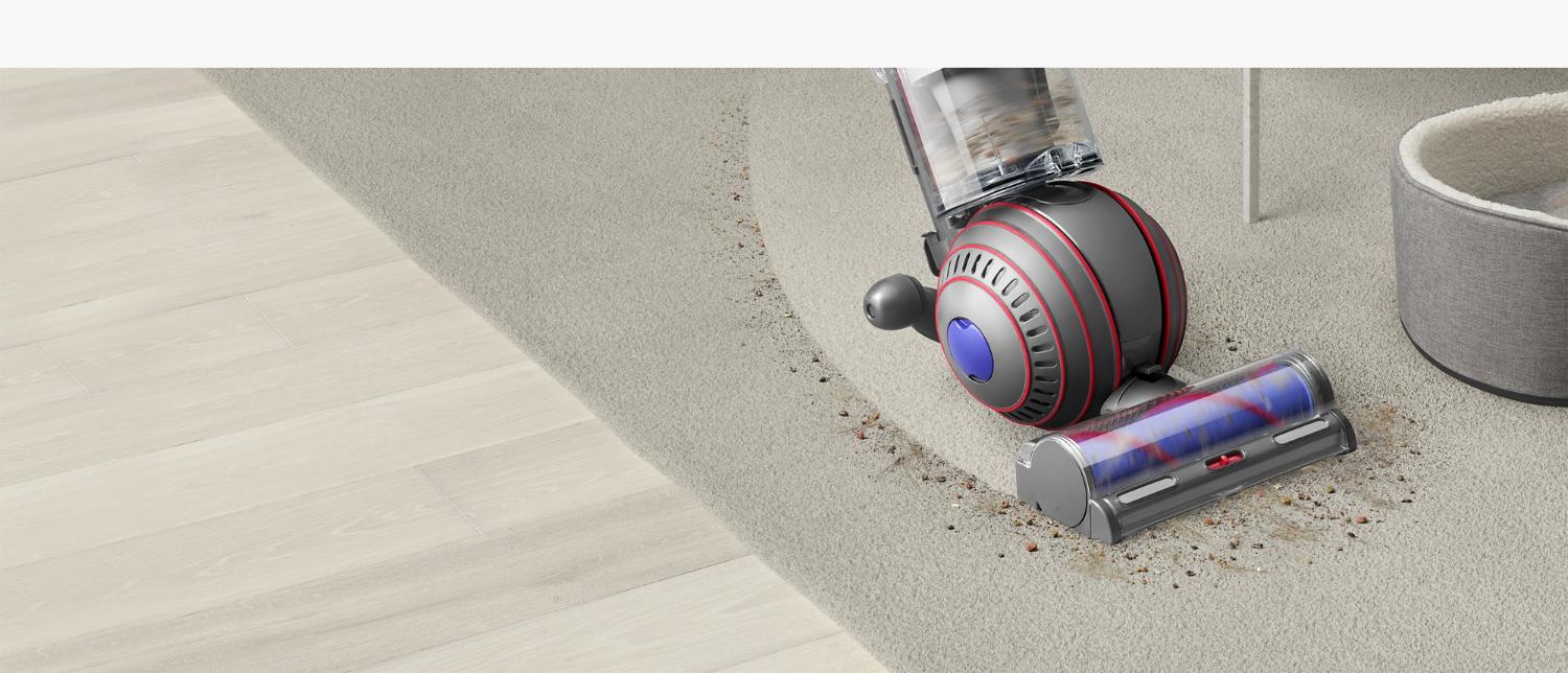 Dyson Ball Animal 3 vacuum cleaning a path through dirt and debris.