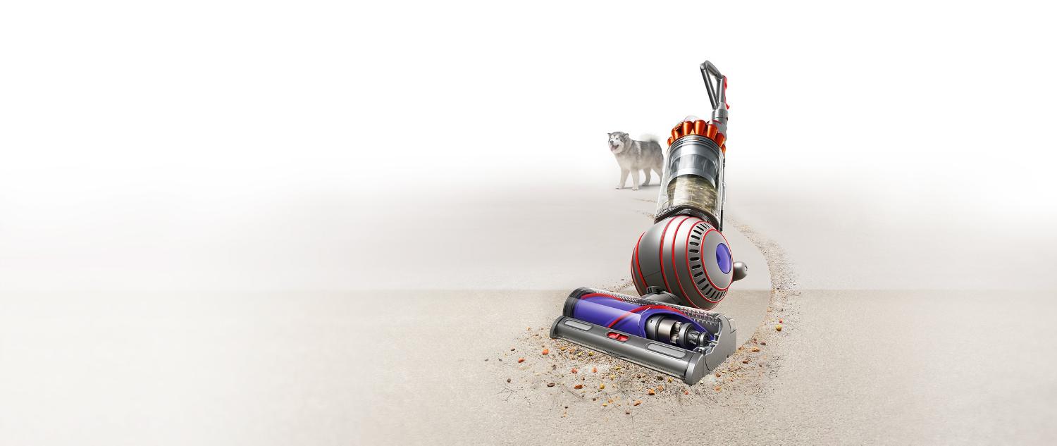 Dyson Ball Animal 3 vacuum sweeps forward cleaning a path through debris with a dog in the background.