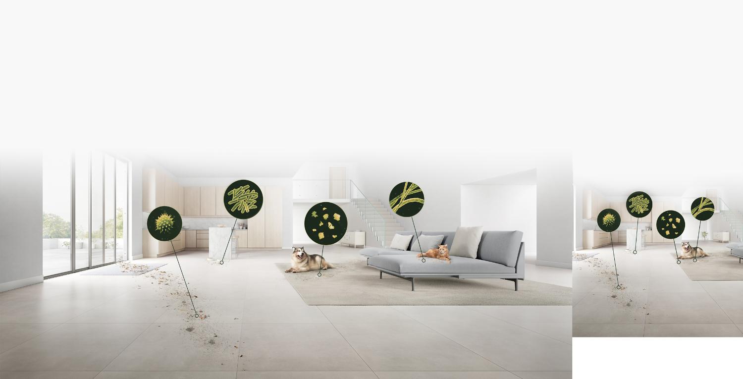 Living room with a dog and a cat, with graphics showing the type of microscopic pollutants left behind by pets.