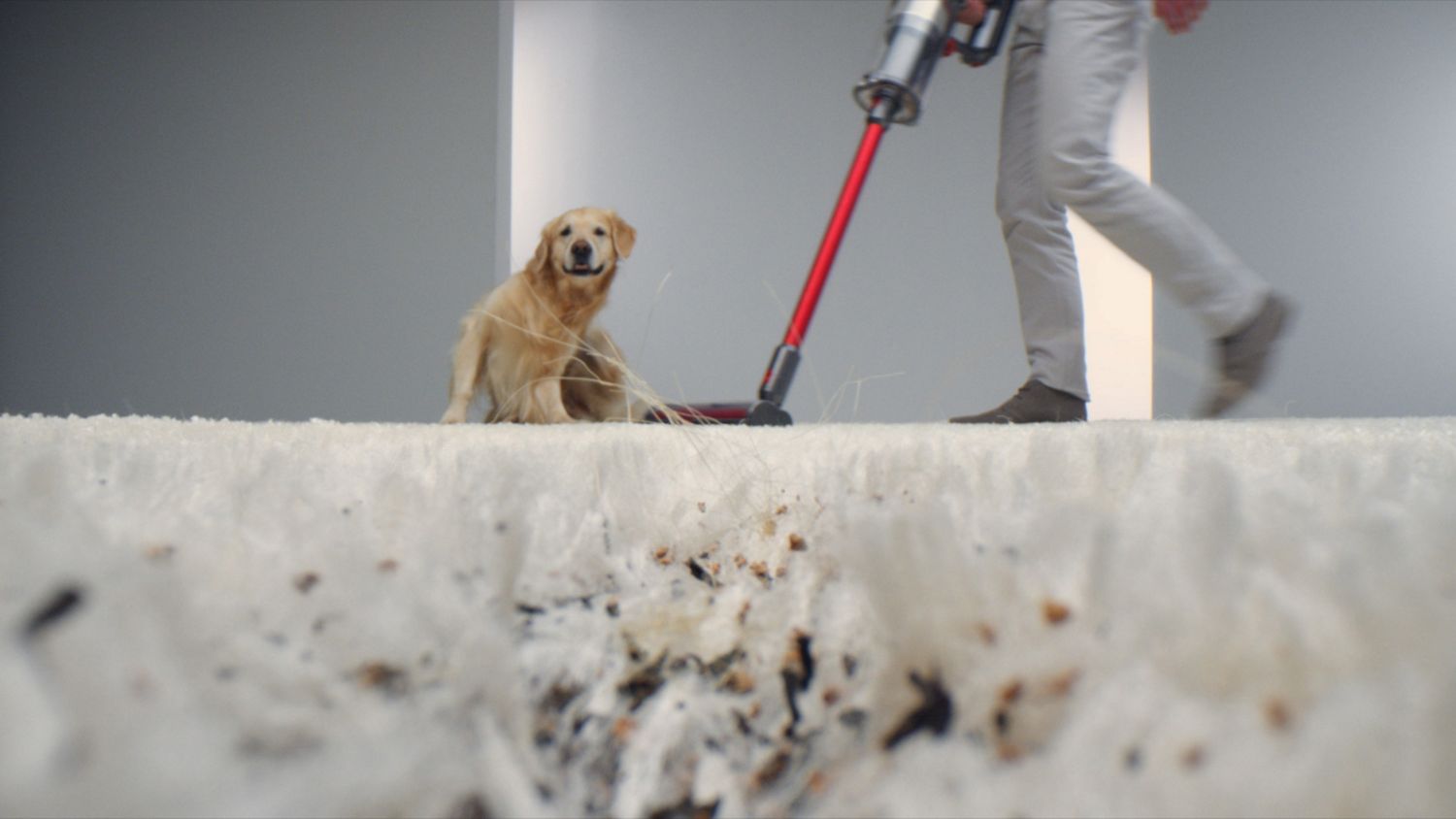 Man cleaning carpet with the Dyson Outsize vacuum.
