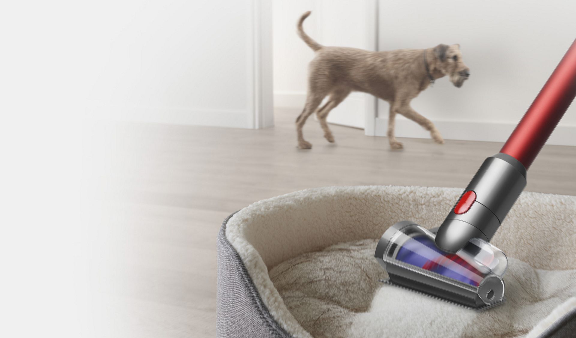 Die Haardüse entfernt Haare von einem Hundebett