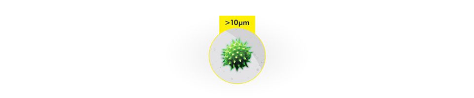 Particelle maggiori di 10µm