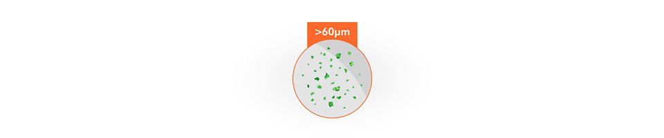 Particelle maggiori di 60µm