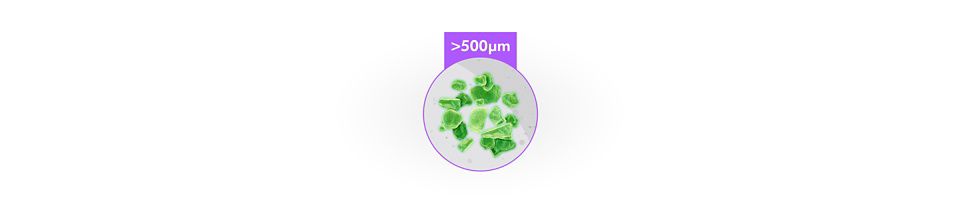 Particelle maggiori di 500µm