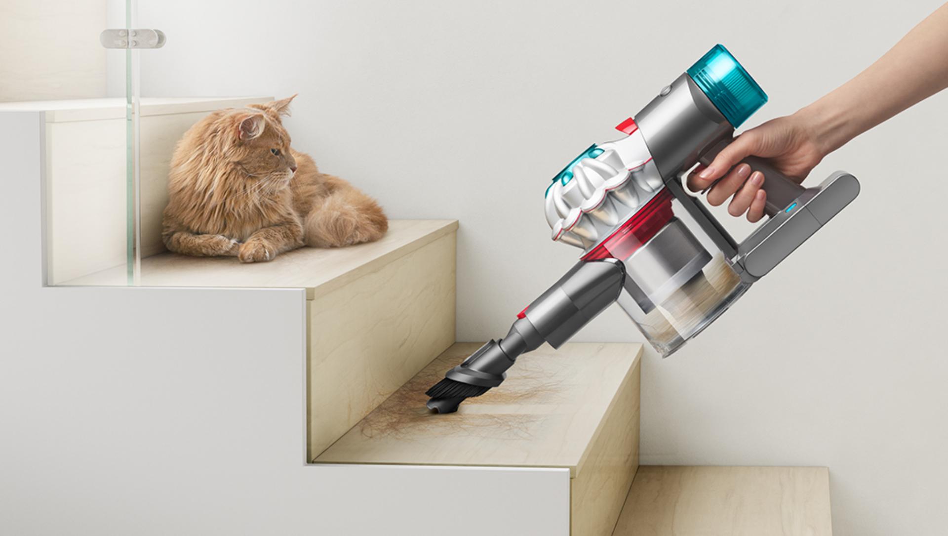Cordless Stick Vacuum Dyson Animal V7 Review Dyson V7 Absolute