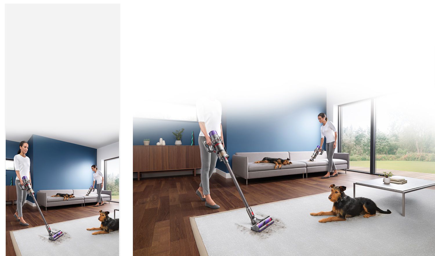 dyson pet hair vacuum