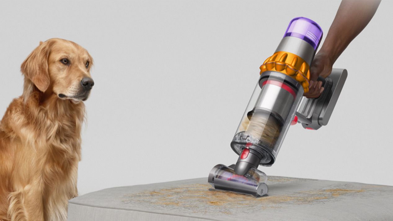 A dog watches as the Hair screw tool cleans hair from a sofa.