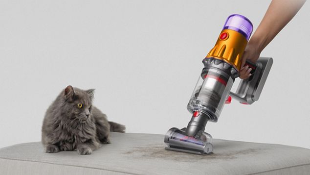 A pet watches as the Hair screw tool cleans hair from a sofa.