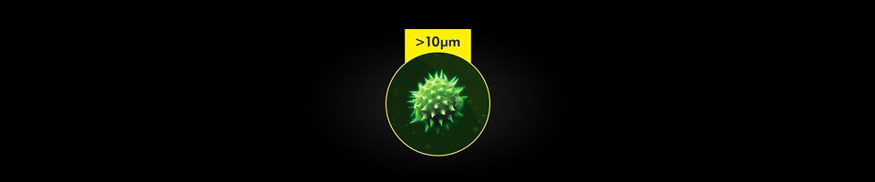 Particelle maggiori di 10µm
