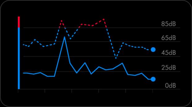 A graph showing the level of sound displayed in real-time.