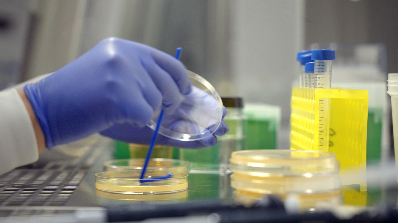 Microbiologist working with petri dishes and test tubes.