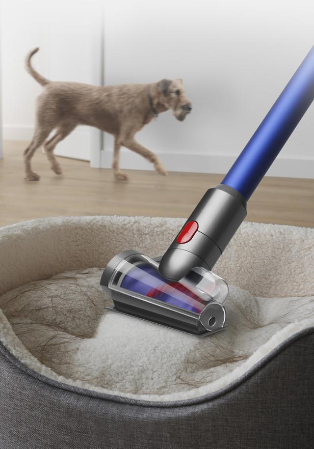 Aspirateur Balai Brosse Dyson V10 Absolute Dyson V10 Animal Brosse