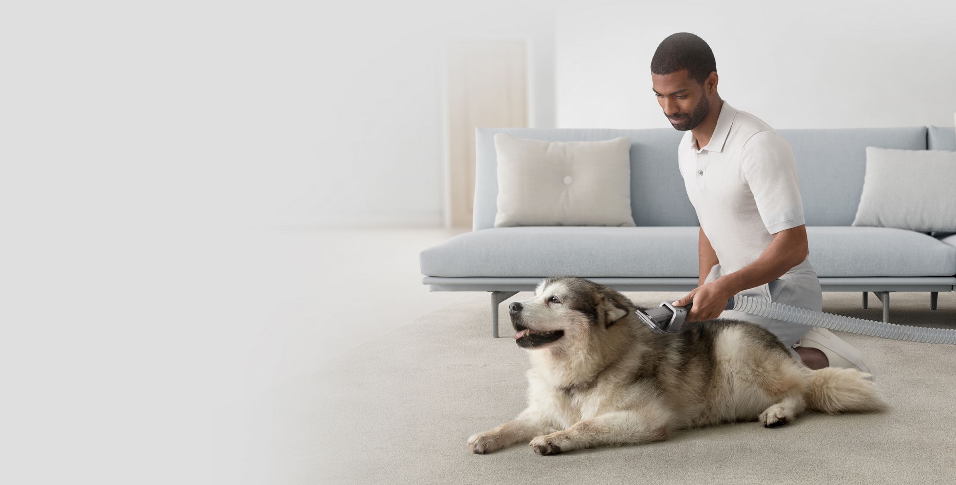 Accessoire pour le toilettage d’animaux utilisé sur un chien