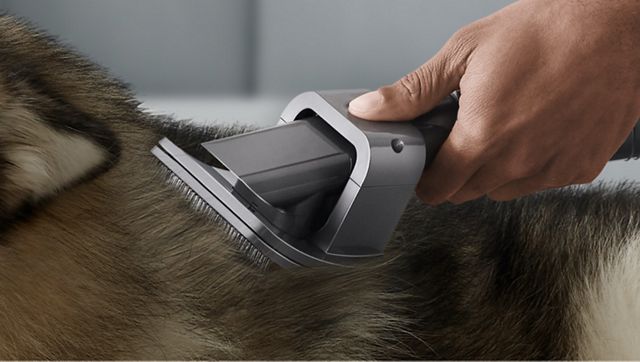 Outil de toilettage pour animaux de compagnie pour Dyson V7 V8 V10 V11  Aspirateur, brosse Accessoire d’aspirateur pour chien à poil moyen ou long  et