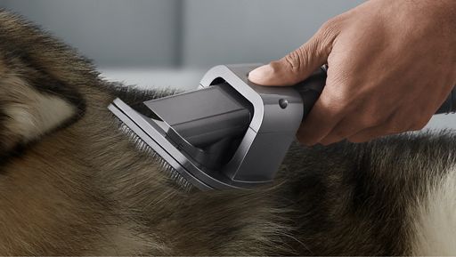 Close up of Pet groom tool grooming a dog