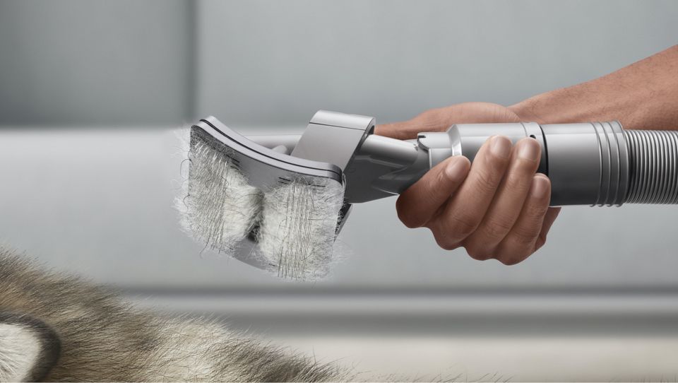 For medium and long haired pets Close up of a Pet groom tool loaded with hair