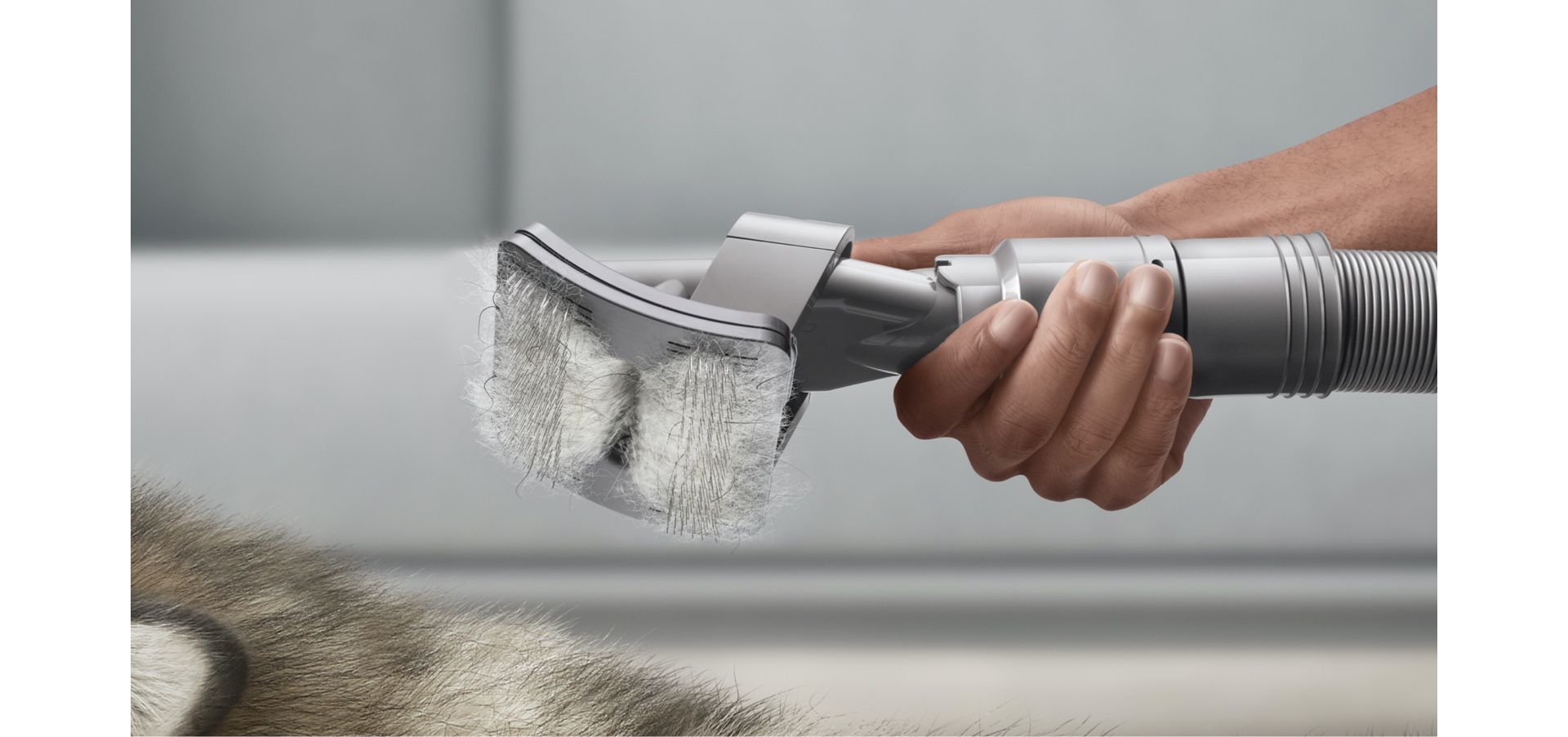 Close up of a Pet groom tool loaded with hair