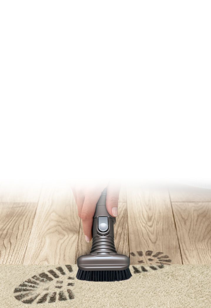 Extra-hart Bürste auf Teppich