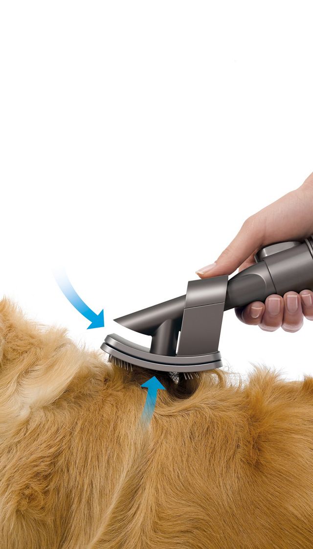 Vhbw Brosse pour chien remplacement pour Dyson 921000-01 pour aspirateur -  Peignage d'animaux, auto-nettoyant, gris anthracite