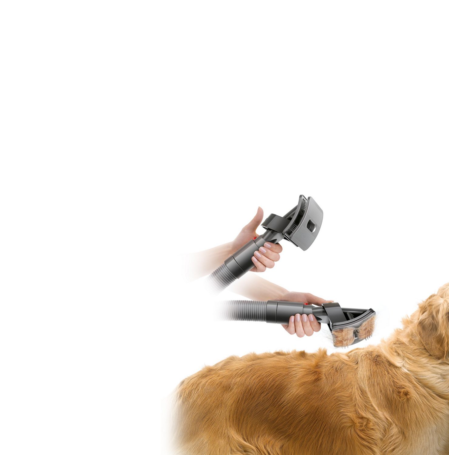 Demonstration of Quick-release groom tool on dog