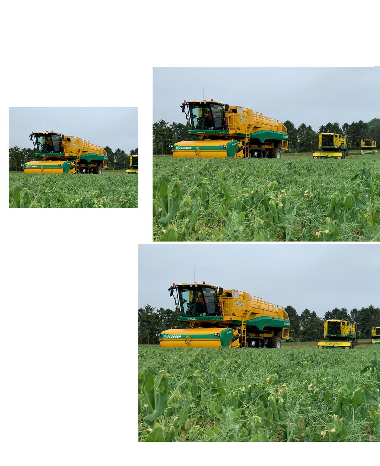 Combine harvester harvesting crops on a Dyson farming site.
