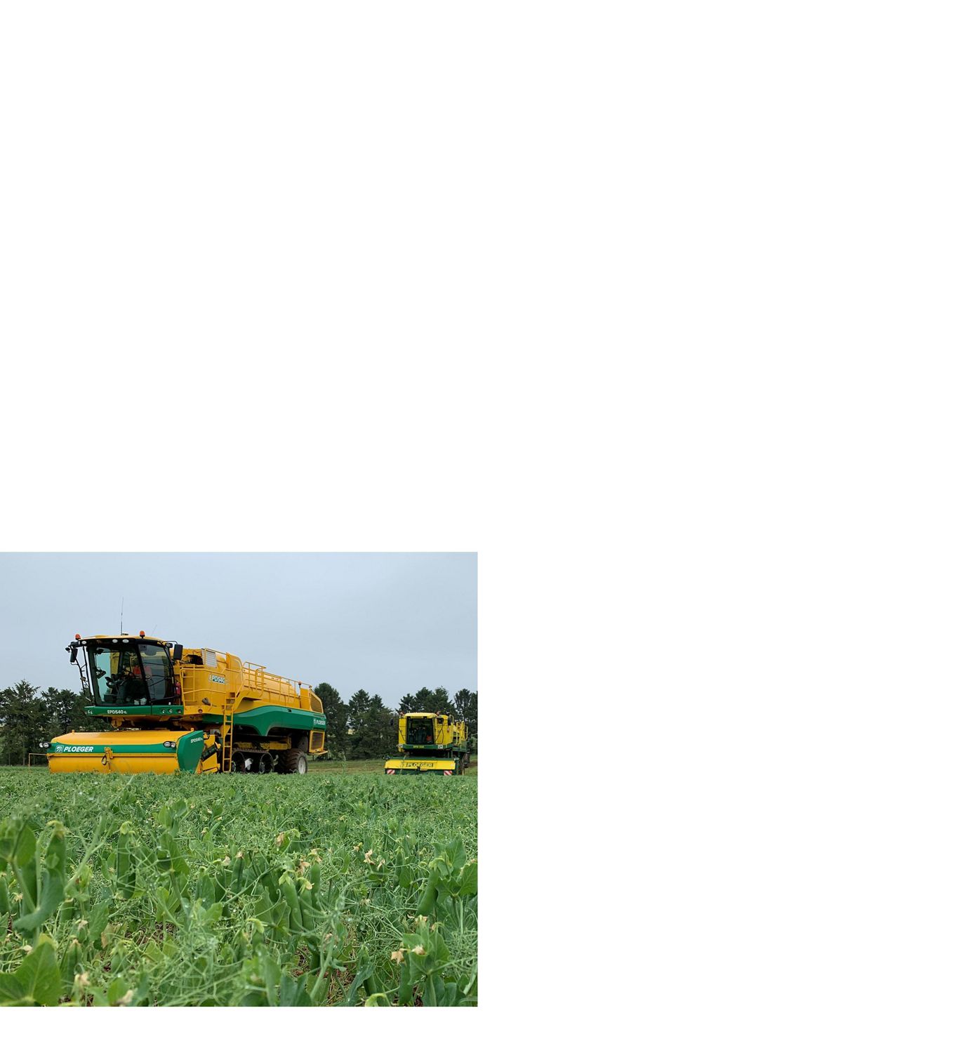 Combine harvester harvesting crops on a Dyson farming site.