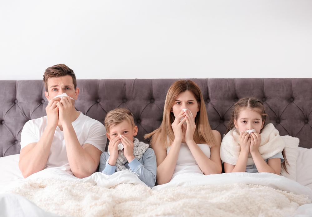 Allergies affecting the entire family at home